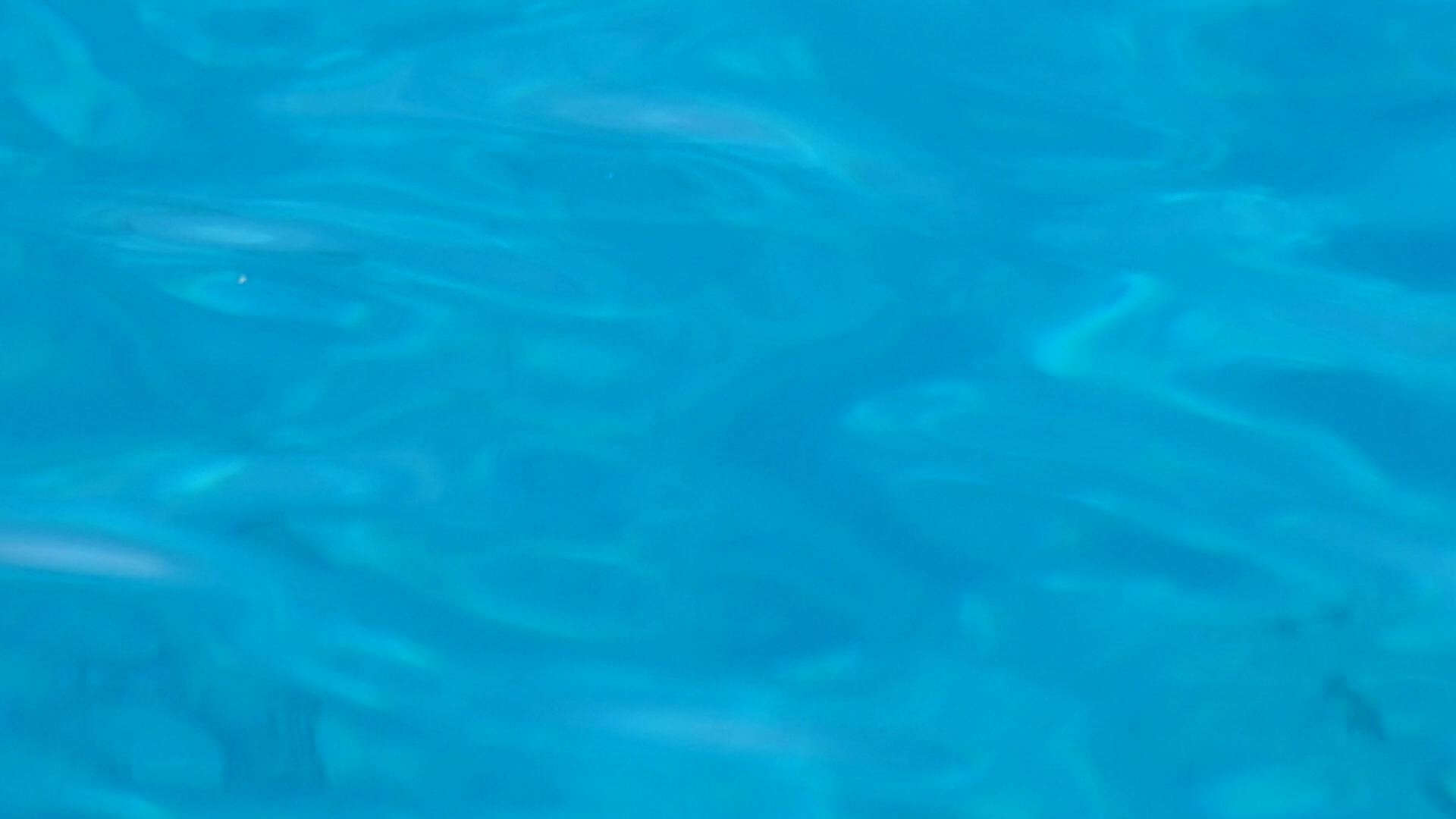 2022-11-09 07 Uhr 36 das Meer (Video, Foto)